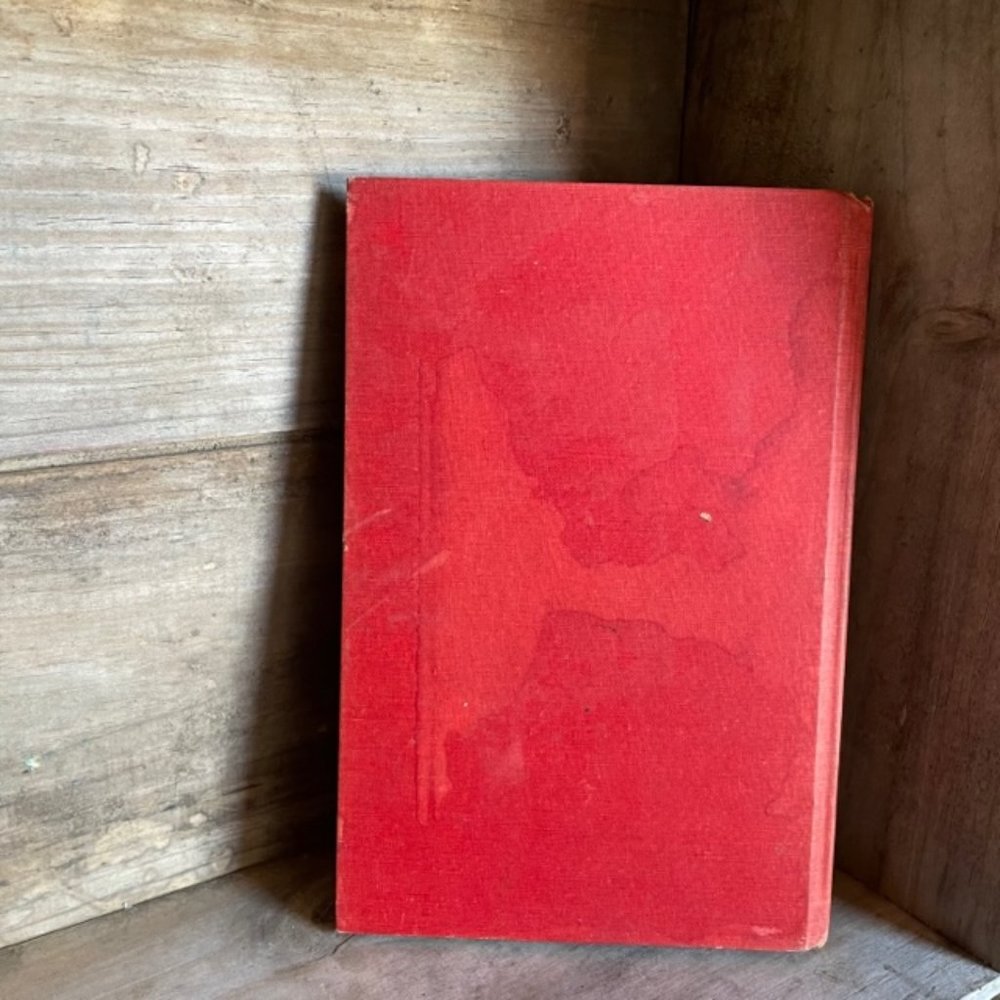 RARE Antique Vintage 1934 Horse Book White-Saddle Collectors Hard Copy - Picture 10 of 12